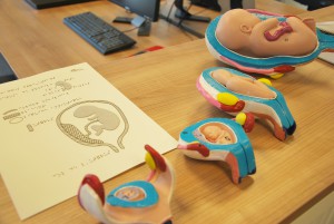 Centre de Transcription - la naissance